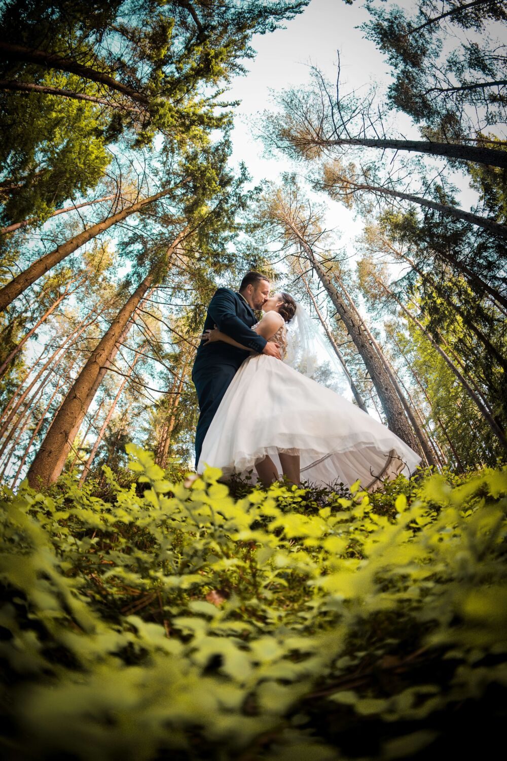 Svatební fotografie